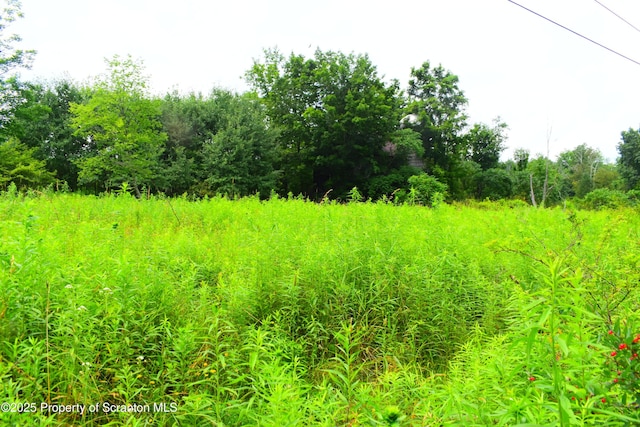 Station Hill Rd, Nicholson, PA 18446 - photo 3