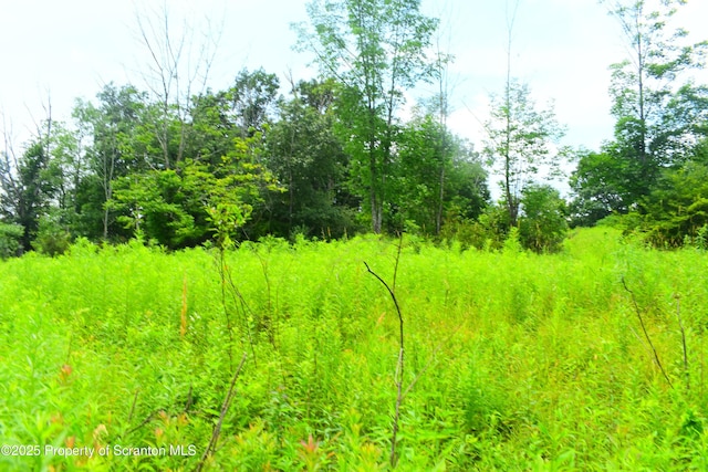 Station Hill Rd, Nicholson, PA 18446 - photo 5