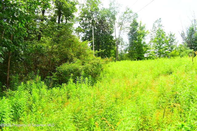 Station Hill Rd, Nicholson, PA 18446 - photo 6