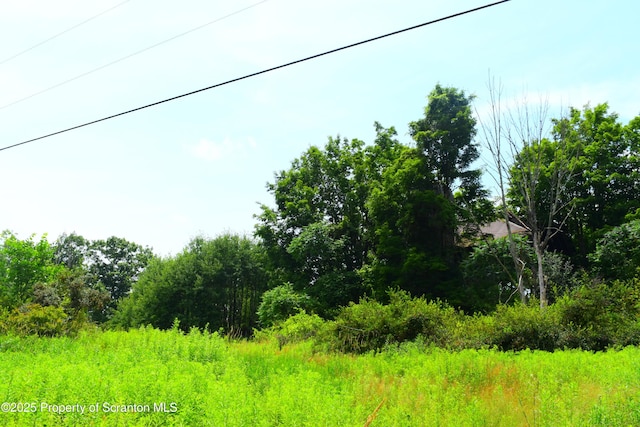 Station Hill Rd, Nicholson, PA 18446 - photo 7