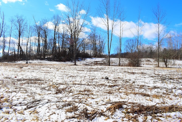 Station Hill Rd, Nicholson, PA 18446 - photo 23