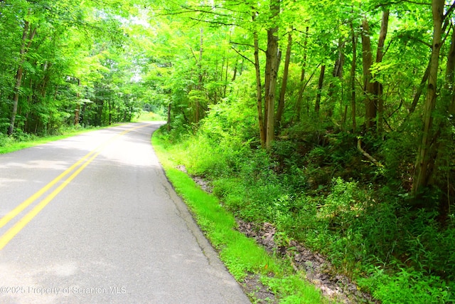 Station Hill Rd, Nicholson, PA 18446 - photo 9