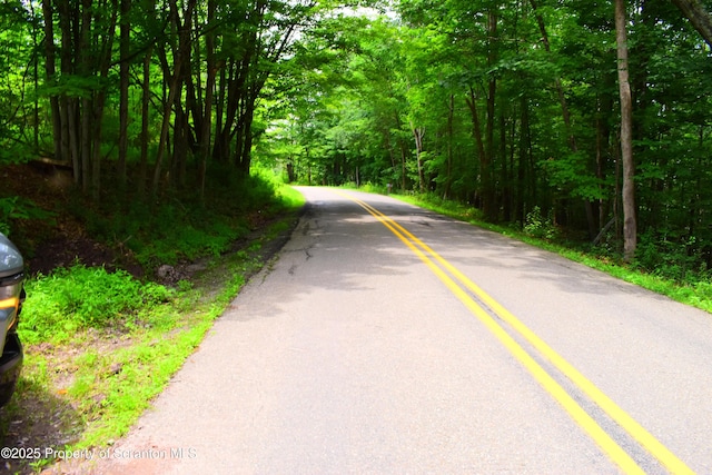 Station Hill Rd, Nicholson, PA 18446 - photo 8