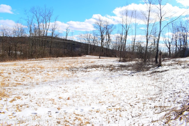 Station Hill Rd, Nicholson, PA 18446 - photo 20