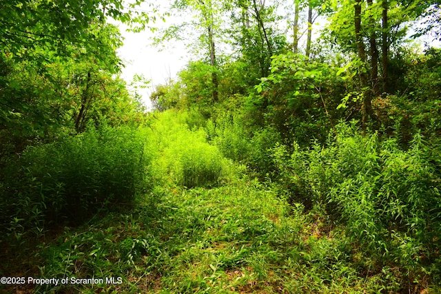 Station Hill Rd, Nicholson, PA 18446 - photo 2