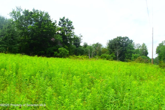 Station Hill Rd, Nicholson, PA 18446 - photo 4