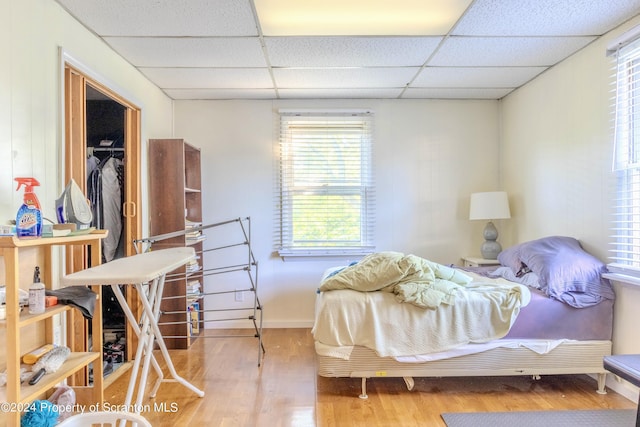 bedroom with hardwood / wood-style floors and a drop ceiling