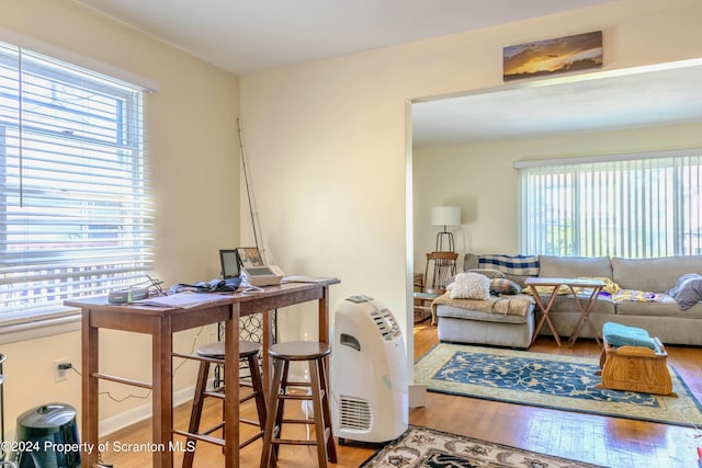 living room with wood-type flooring