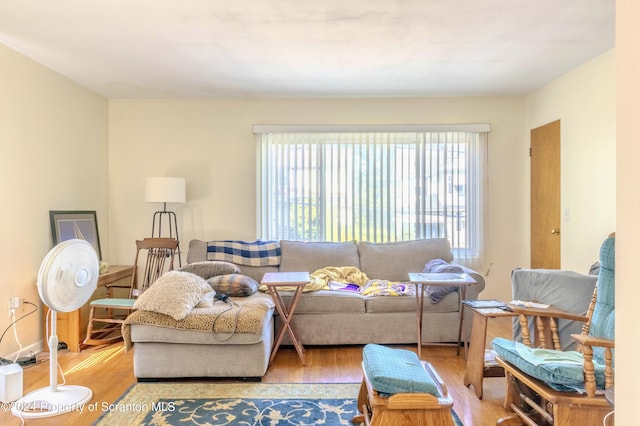 living room featuring light hardwood / wood-style flooring