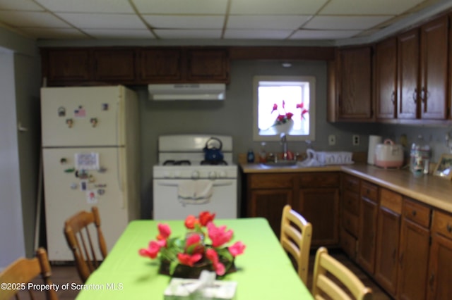 kitchen with white appliances, light countertops, a paneled ceiling, under cabinet range hood, and a sink