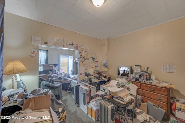 1116 Rock St Rear, Rear, Scranton, PA 18504 - miscellaneous room featuring carpet floors and crown molding
