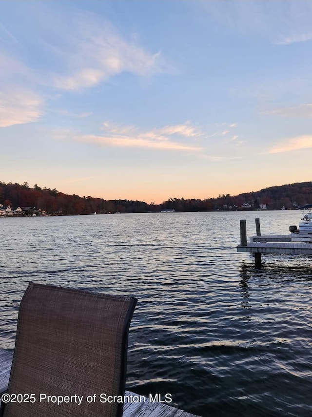 464 Point Rd, Lake Winola, PA 18625 - photo 46
