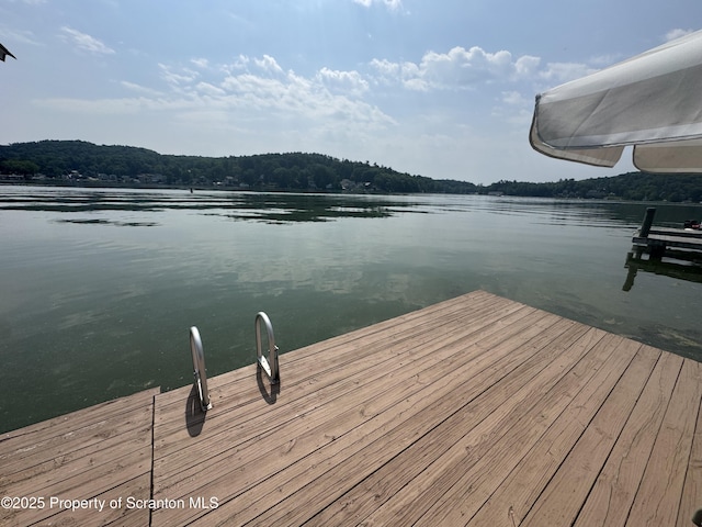 464 Point Rd, Lake Winola, PA 18625 - photo 43