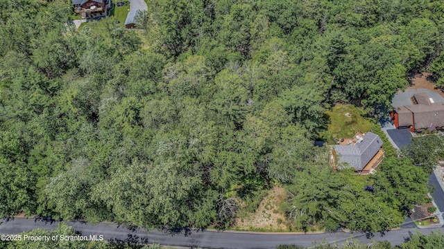 165 Indian Dr, Greentown, PA 18426 - photo 5