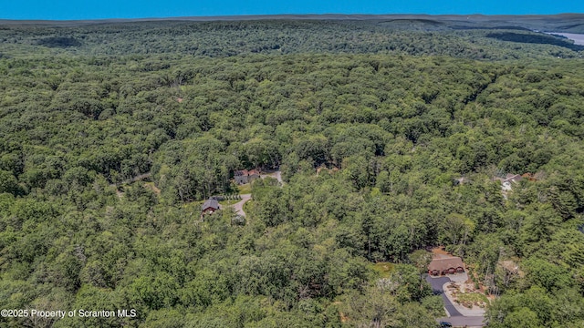 165 Indian Dr, Greentown, PA 18426 - photo 23
