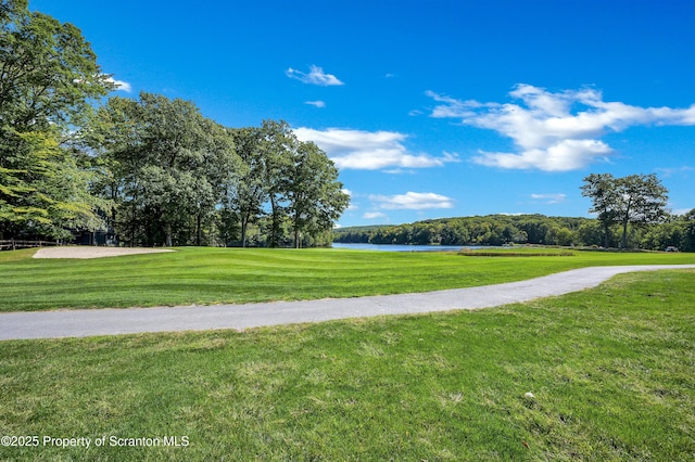 165 Indian Dr, Greentown, PA 18426 - photo 16