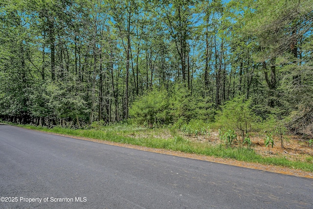 165 Indian Dr, Greentown, PA 18426 - photo 1