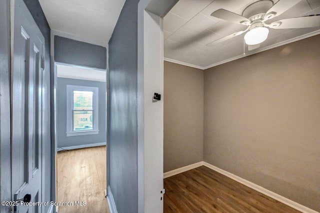 1014 Jackson St 1012, Scranton, PA 18504 - hall featuring wood finished floors and ornamental molding