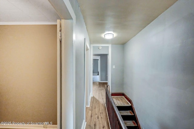 1014 Jackson St 1012, Scranton, PA 18504 - corridor featuring wood finished floors and baseboards