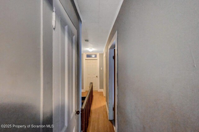 1014 Jackson St 1012, Scranton, PA 18504 - hallway with wood finished floors