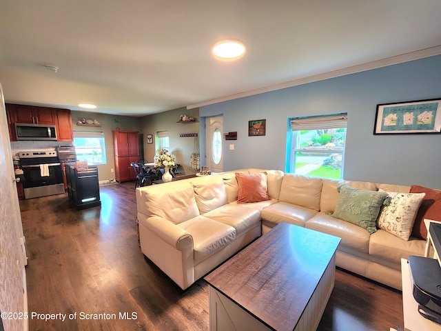 239 Maple St, Shavertown, PA 18708 - photo 8