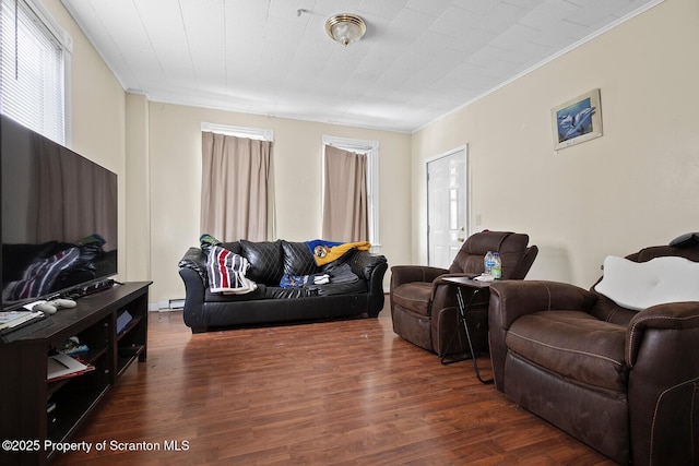 living room with ornamental molding, dark hardwood / wood-style flooring, and a baseboard heating unit