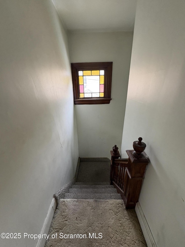 210 School St, Scranton, PA 18508 - staircase featuring carpet flooring and baseboards
