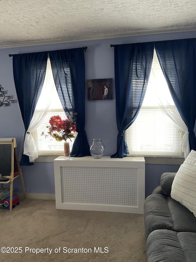 bedroom featuring multiple windows, a textured ceiling, radiator heating unit, and carpet floors