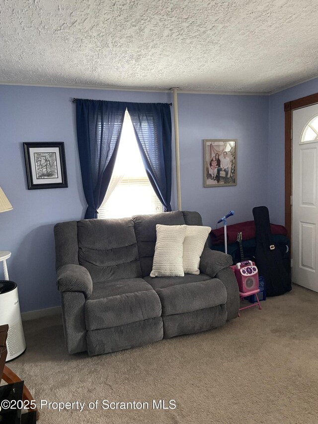 carpeted living room featuring a textured ceiling