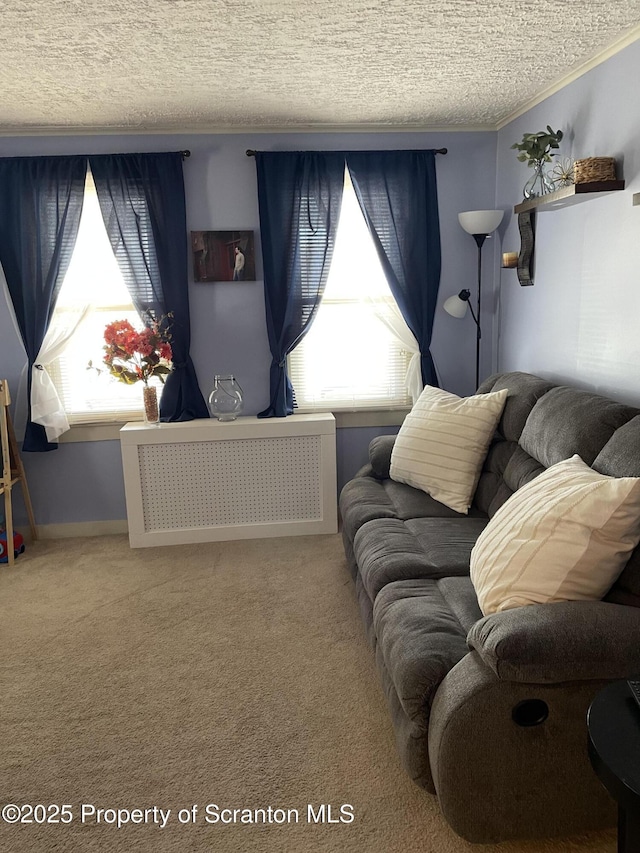 interior space with a textured ceiling, radiator heating unit, and crown molding