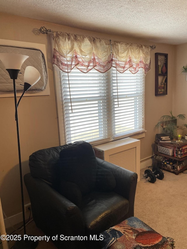 living area featuring a textured ceiling and carpet floors