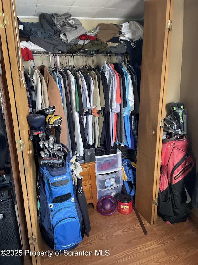 spacious closet featuring wood finished floors