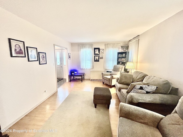 living room featuring hardwood / wood-style flooring