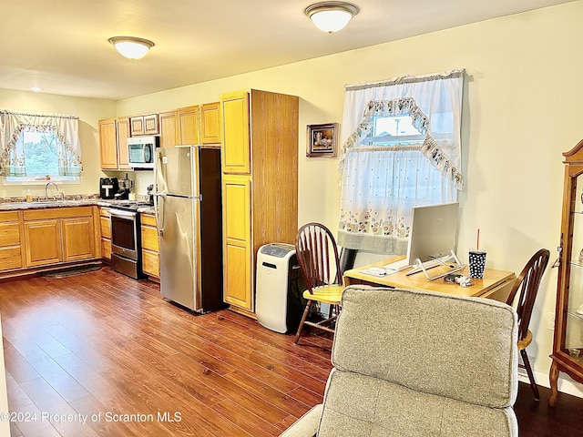 kitchen featuring dark hardwood / wood-style flooring, sink, plenty of natural light, and stainless steel appliances