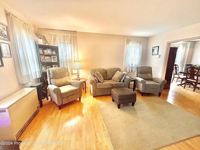 living room featuring radiator heating unit and hardwood / wood-style flooring