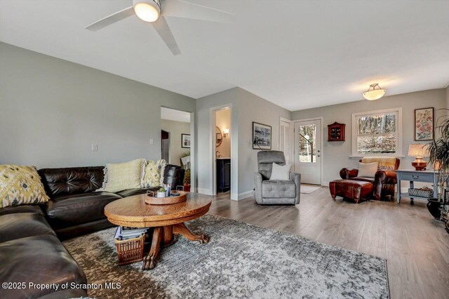 living room featuring a ceiling fan, light wood-style flooring, and baseboards