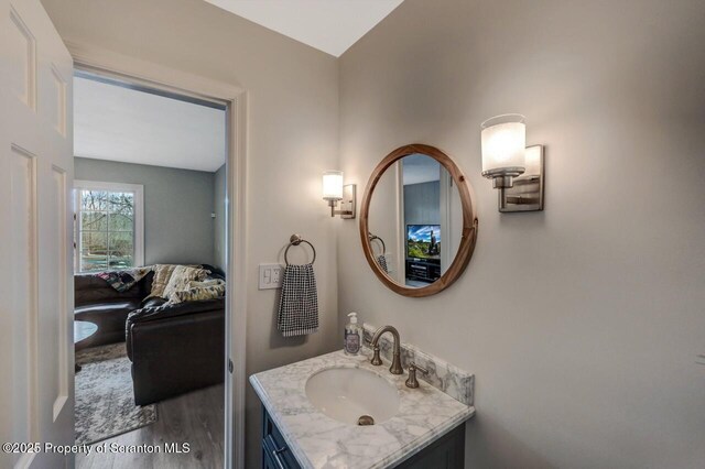 bathroom featuring wood finished floors and vanity