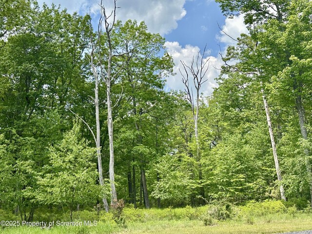 L128 Laurelbrook Dr, Bear Creek, PA 18702 - photo 5