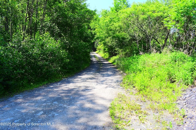 State Route 92, Susquehanna, PA 18847
