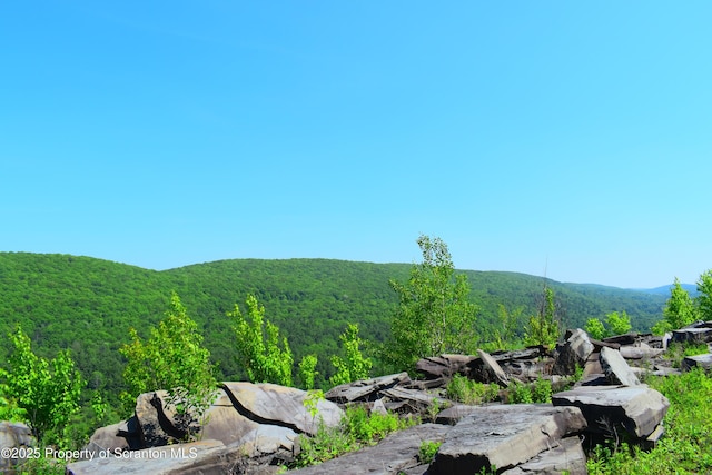 State Route 92, Susquehanna, PA 18847
