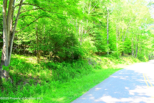 State Route 92, Susquehanna, PA 18847