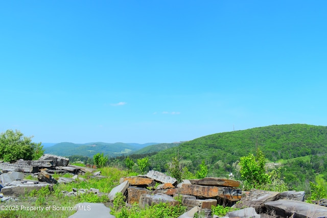 State Route 92, Susquehanna, PA 18847