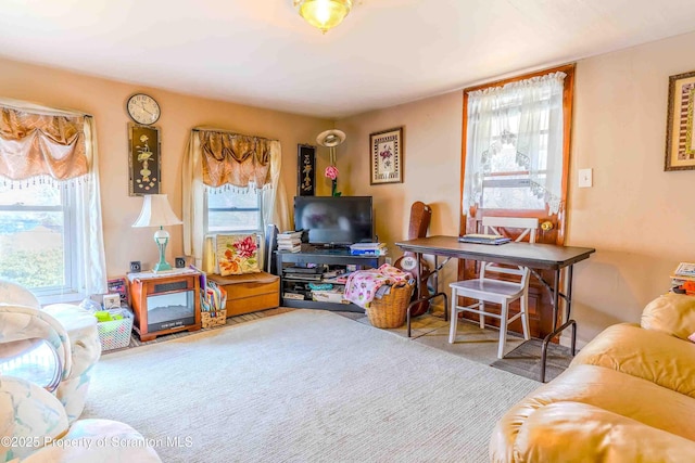 living room featuring carpet flooring