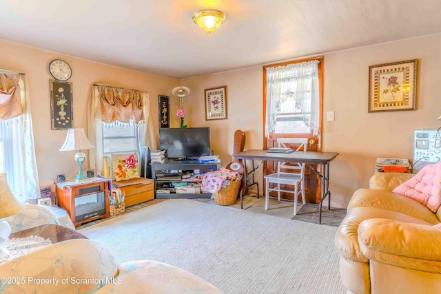 living room with carpet floors