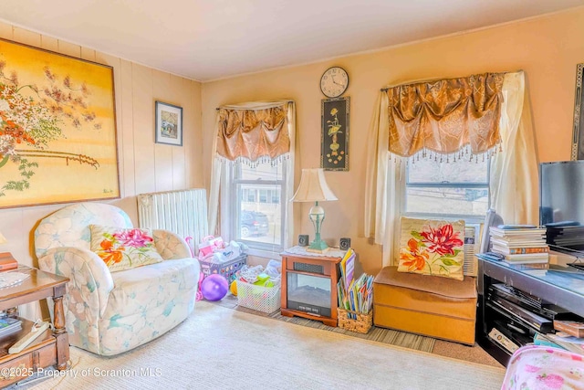 living area featuring light colored carpet