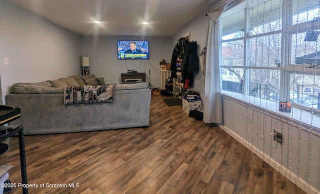 living room featuring hardwood / wood-style flooring