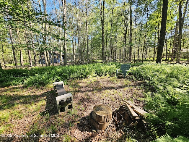 55 Lyman Ln, Gouldsboro, PA 18424 - view of yard