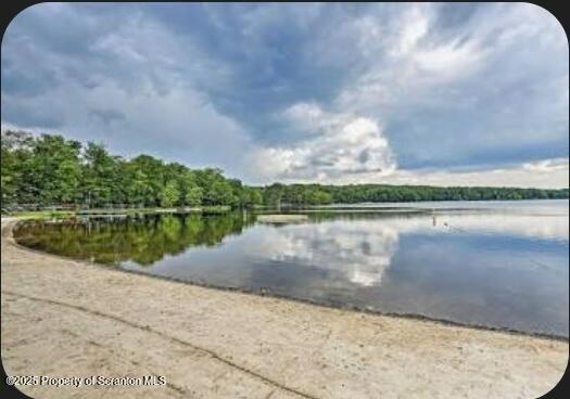 55 Lyman Ln, Gouldsboro, PA 18424 - water view