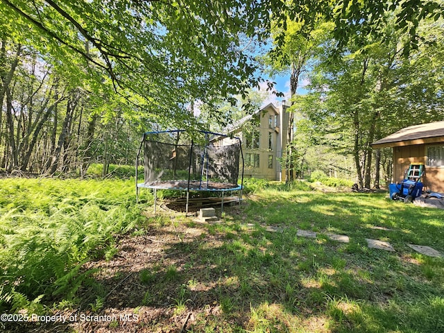 55 Lyman Ln, Gouldsboro, PA 18424 - view of grassy yard with a trampoline
