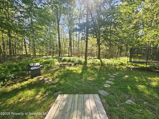 55 Lyman Ln, Gouldsboro, PA 18424 - view of green lawn with a trampoline